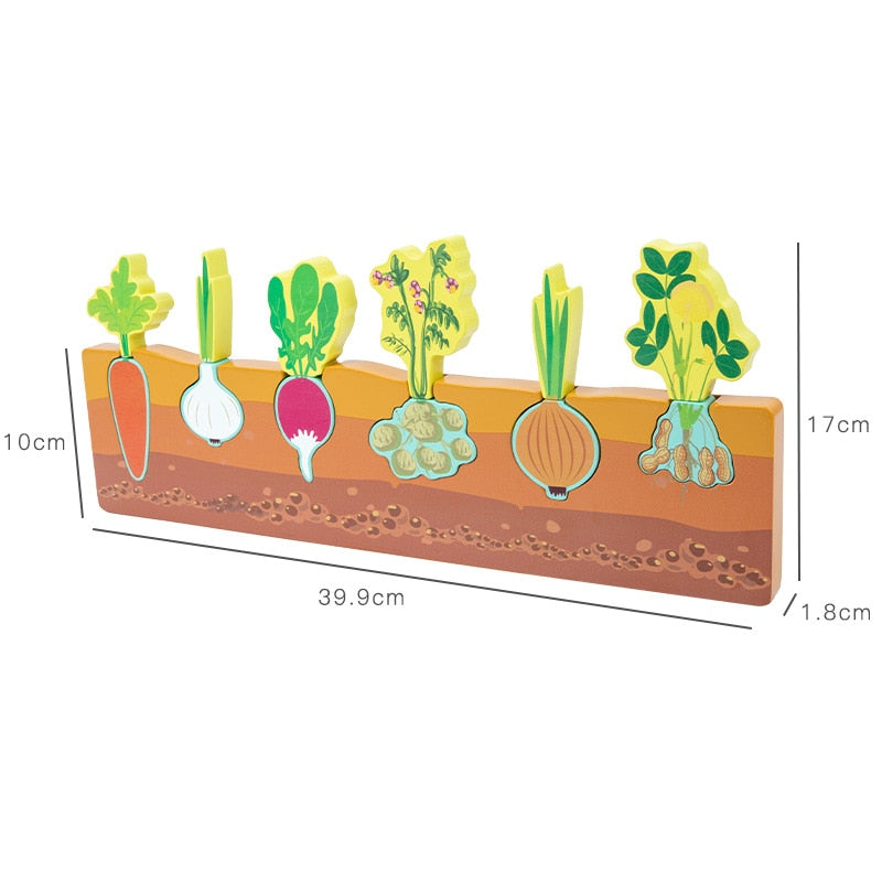Root Vegetable Cognitive Puzzle