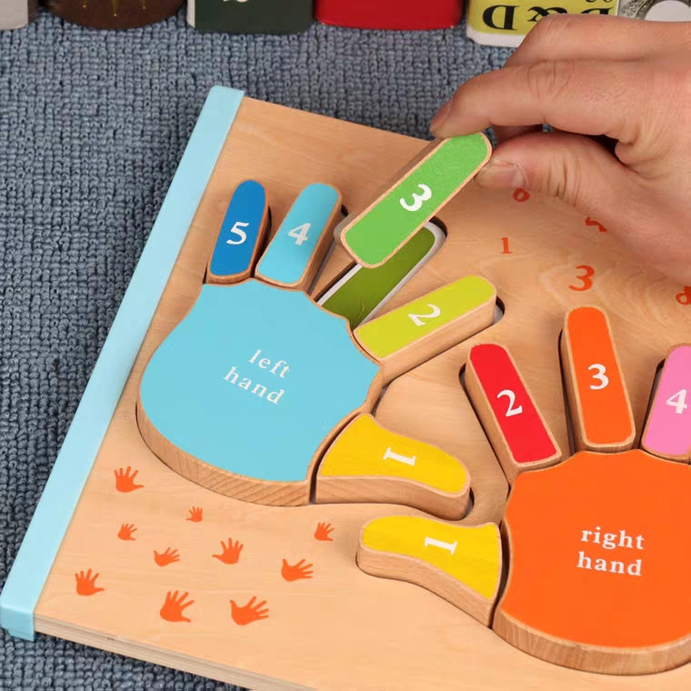 Montessori 3D Finger Palm Puzzle