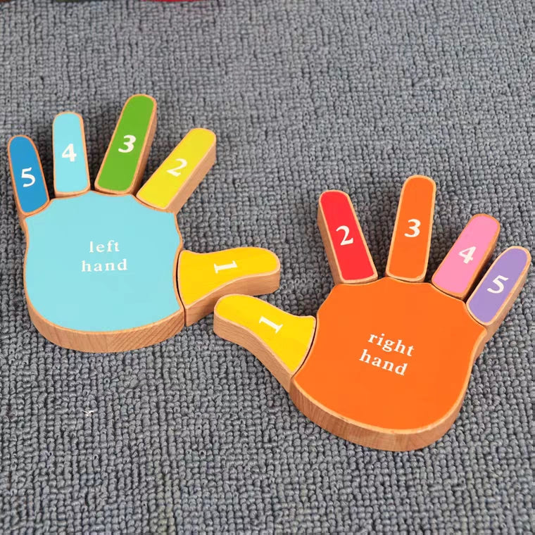 Montessori 3D Finger Palm Puzzle