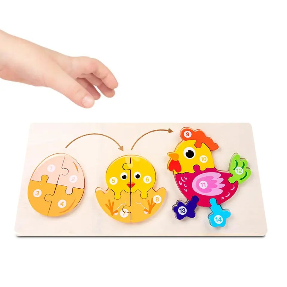 Wooden 3D Animal Lifecycle Progression Puzzle