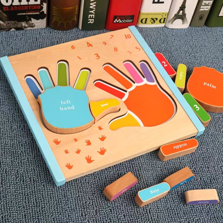 Montessori 3D Finger Palm Puzzle