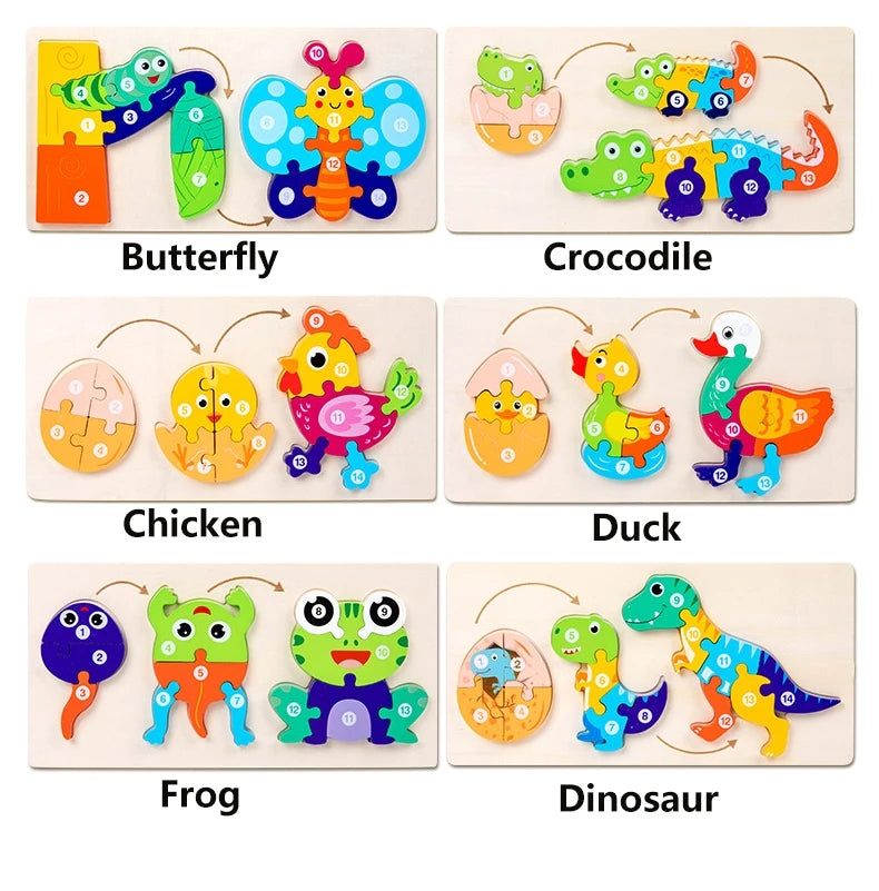 Wooden 3D Animal Lifecycle Progression Puzzle