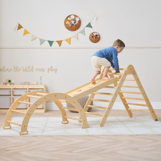 3-in-1 Climbing Frame