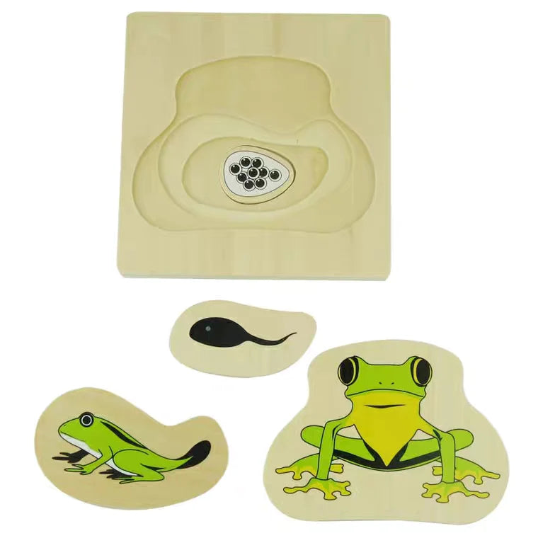 Nesting Animal Life Cycle Puzzle