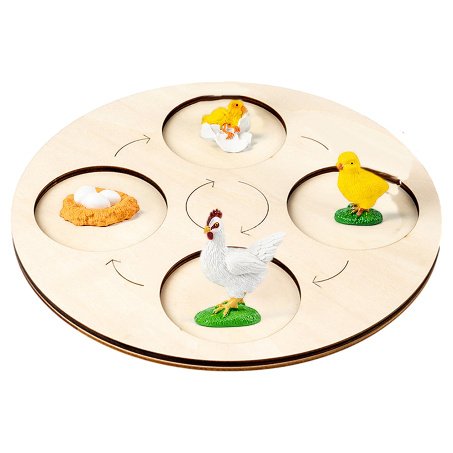 Animal Growth Cycle Tray