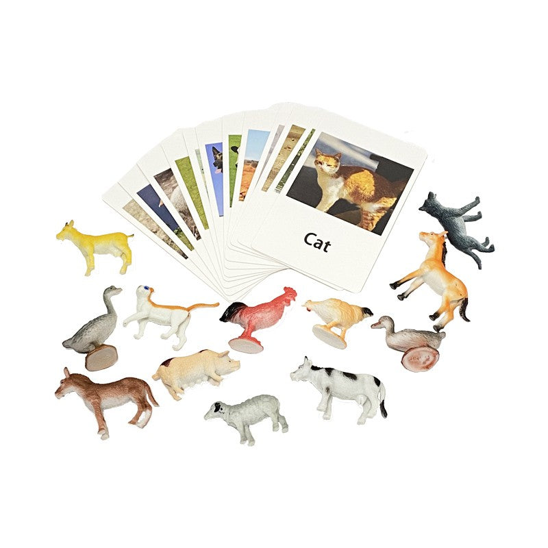 Animal Match Cards With Figurines