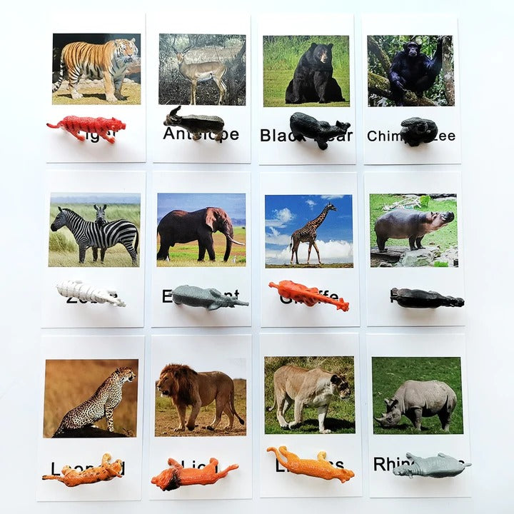 Animal Match Cards With Figurines