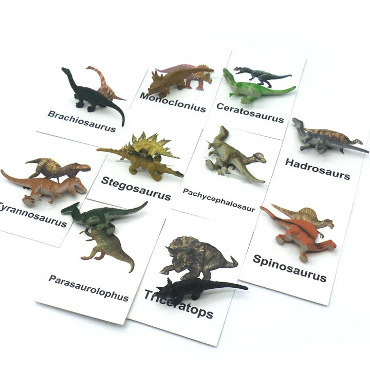 Animal Match Cards With Figurines