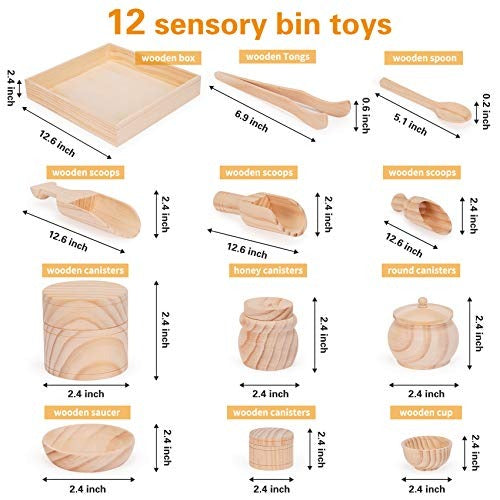 Sensory Bin & Tools