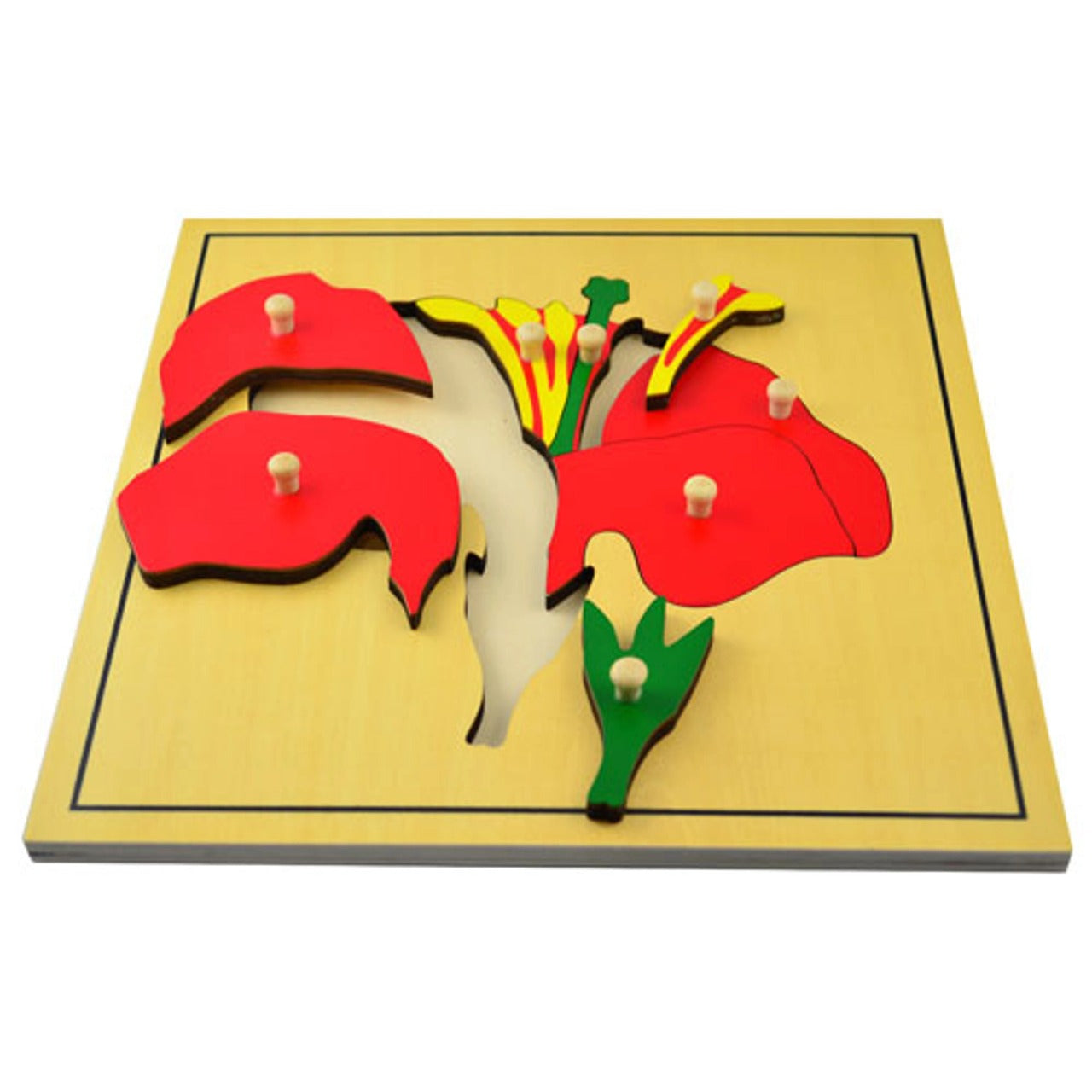 Zoology & Botany Pincer Puzzles